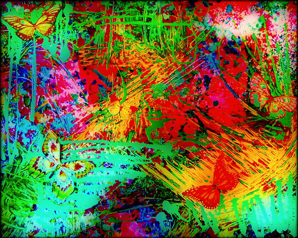 Butterfy Fever Fine Art Print Bright Bold Colorful Abstract